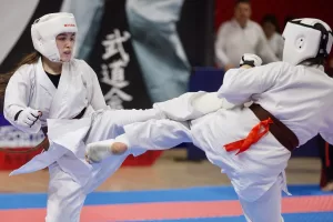 DÜZCE (AA) – Türkiye Wushu Kung fu Federasyonunca düzenlenen Türkiye
