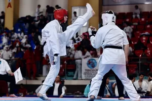 DÜZCE (AA) – Türkiye Wushu Kung Fu Federasyonunca Düzce'de düzenlenen