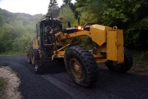 KASTAMONU (AA) – Kastamonu'da yaşayan zihinsel engelli 40 yaşındaki Satiye