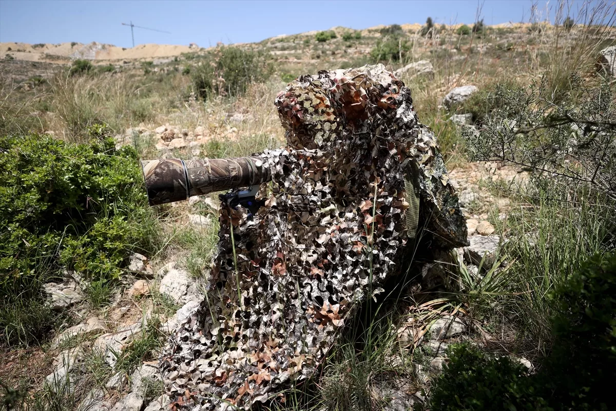 Filistinli fotoğrafçı, ülkesindeki doğal yaşamı tanıtmak için tüm zorluklara göğüs geriyor