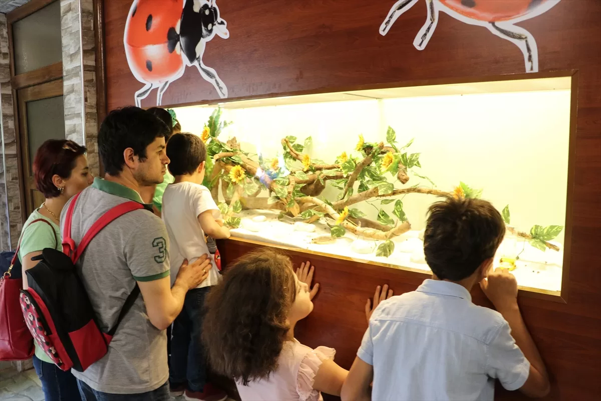 Gaziantep'te Tropik Uğur Böceği Bahçesi açıldı