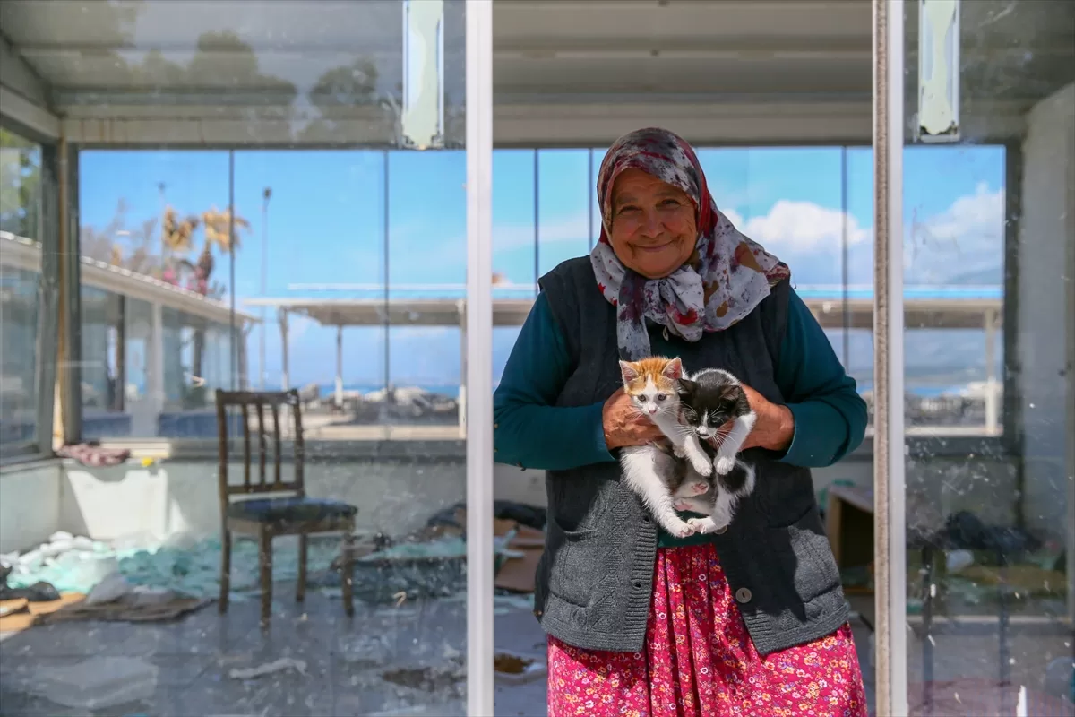 Hatay'da 70 yaşındaki kadın 17 yıldır sahipsiz kedilere bakıyor