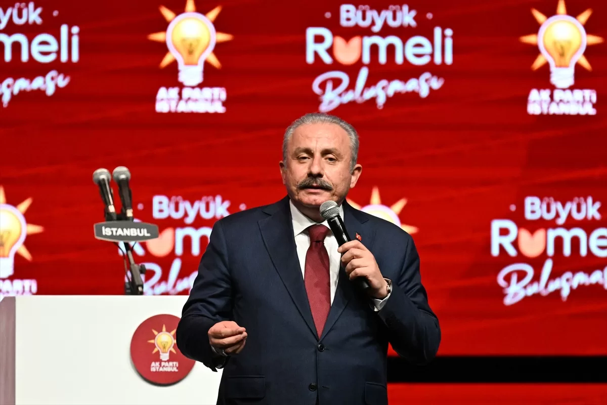 İstanbul'da “Büyük Rumeli Buluşması” yapılıyor