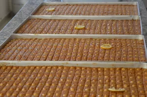 KAHRAMANMARAŞ (AA) – SİNAN DORUK – Kahramanmaraş'ın Afşin ilçesinde bir