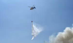 MERSİN (AA) – Mersin Serbest Bölgesi'nde bir kuru yemiş firmasının