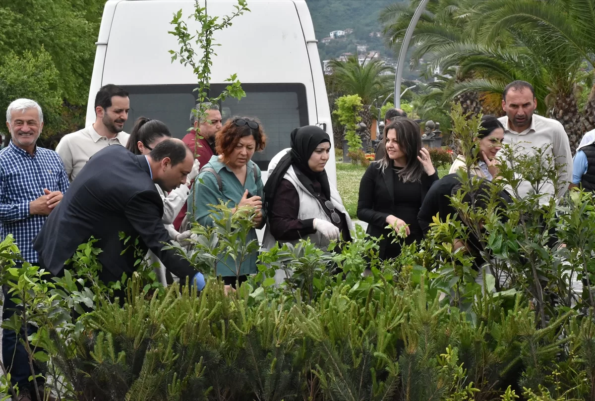 Ordu'da sigaranın çevreye verdiği zarara dikkat çekmek için “izmarit” toplandı