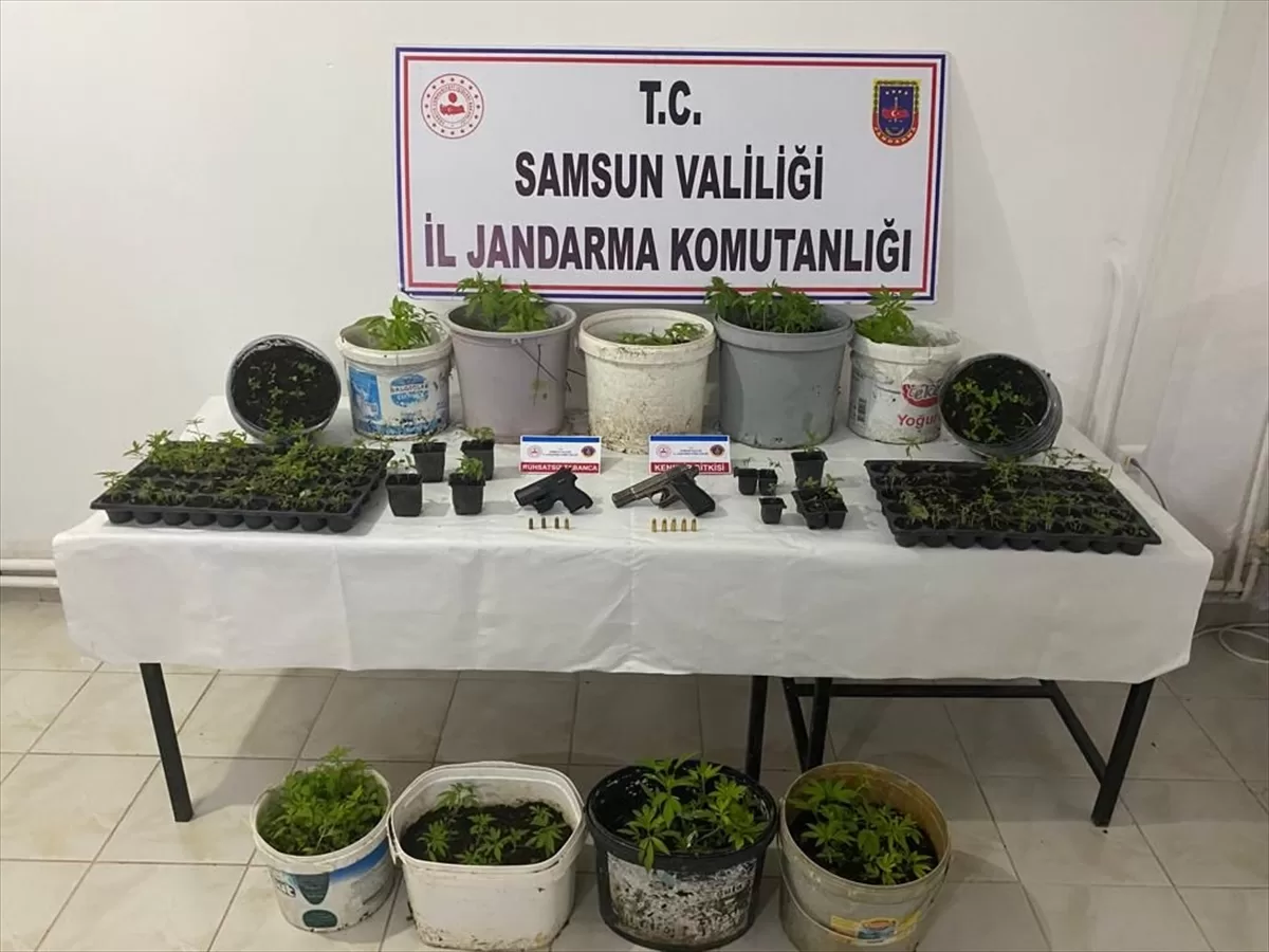 Samsun'da uyuşturucu operasyonunda 1 kişi yakalandı