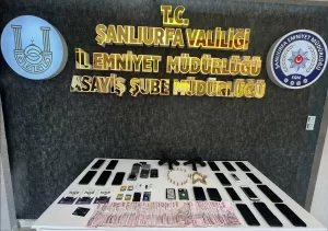 ŞANLIURFA (AA) – Şanlıurfa merkezli 6 ilde düzenlenen dolandırıcılık operasyonunda