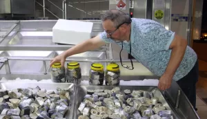 SİNOP (AA) – Sinop'ta balıkçılar tarafından iri palamutlardan yapılan lakerda