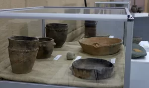 NOVİ SAD (AA) – Sırbistan'ın Novi Sad şehrinde "Tarladan Sofraya