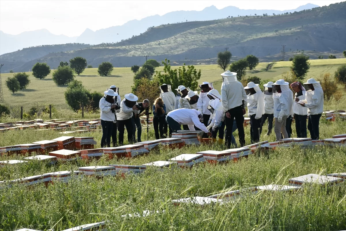 Şırnak'ta 200 arıcıya arılı kovan ve malzeme desteği sağlandı