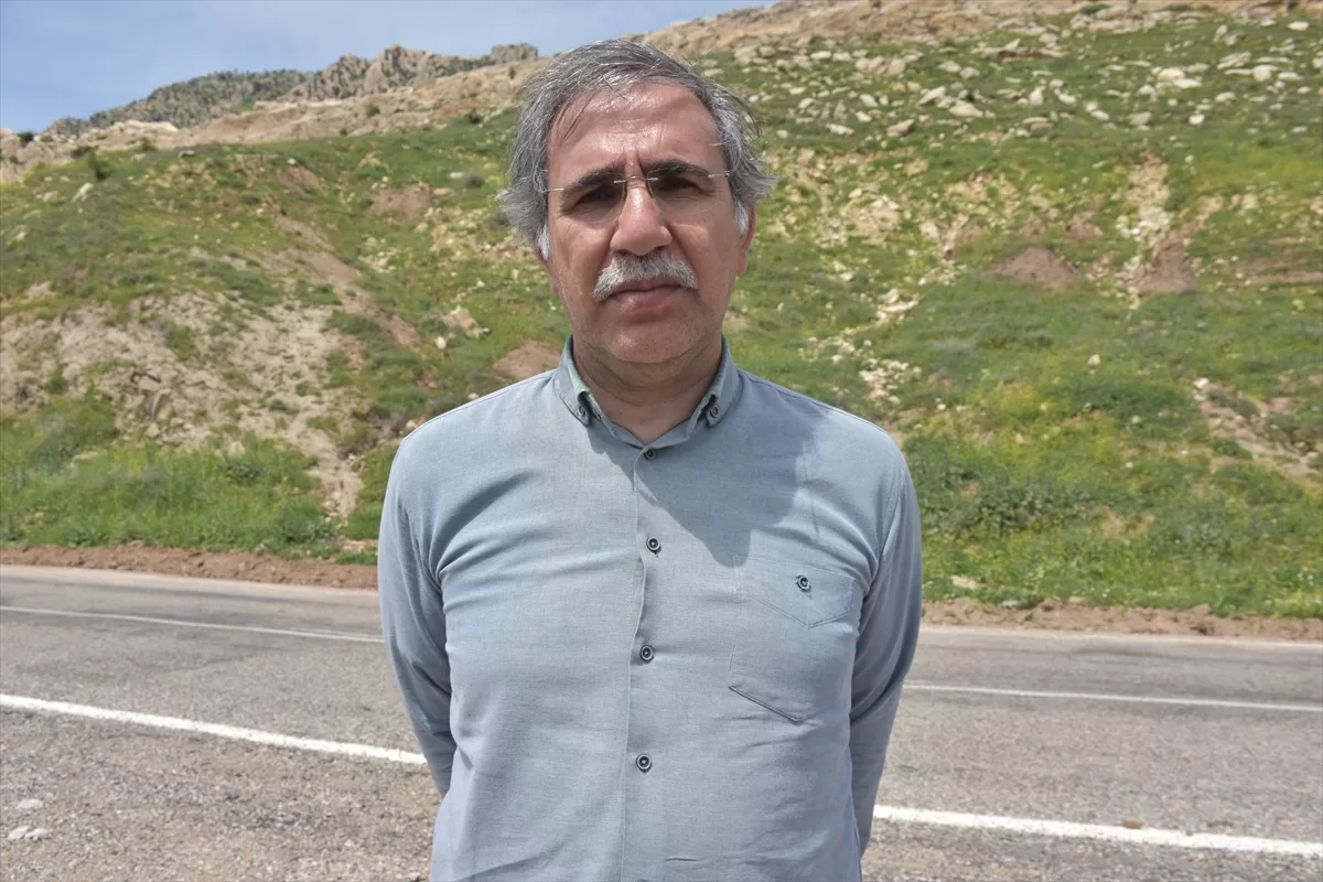 Şırnak'ta kırsalda toplanan yılan yastığı bitkisi ihraç ediliyor