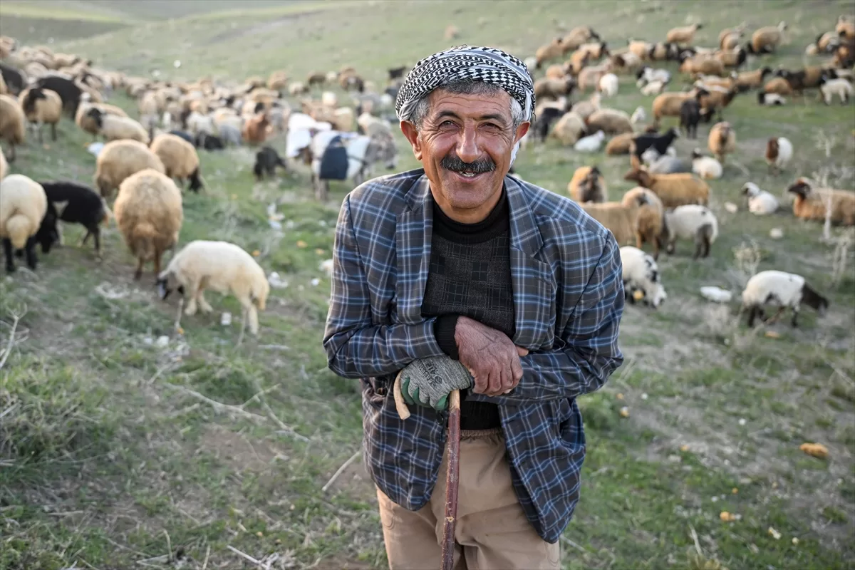 Terörden arındırılan yaylalarda küçükbaş hayvan ve kuş sesleri yankılanıyor