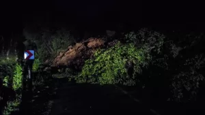 TRABZON (AA) – Trabzon'un Şalpazarı ilçesinde sağanağın ardından oluşan heyelan