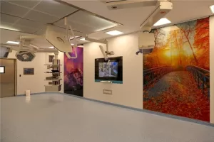 EDİRNE (AA) – Trakya ve Balkanlar'ın sağlık alanında öncü kuruluşlarından