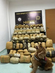 VAN (AA) – Van'da geçen hafta 401 kilo 100 gram