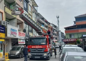 ZONGULDAK (AA) – Zonguldak'ın Alaplı ilçesinde kaçan papağan, itfaiye ekiplerince
