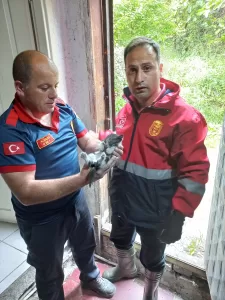 ZONGULDAK (AA) – Zonguldak'ta iki duvar arasına sıkışan kedi yavrusunu