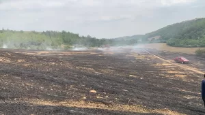 ADANA (AA) – Adana'nın Kozan ilçesinde, ormanlık alanda çıkan yangın