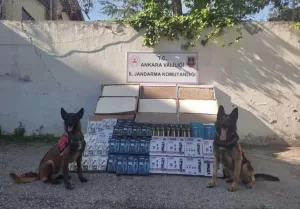 - Gözaltına alınan 5 şüpheli hakkında adli işlem başlatıldı