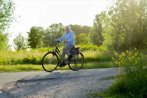 PARİS (AA) – Avrupa'da çevre dostu ve sağlıklı ulaşım aracı