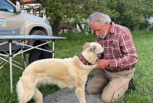 KASTAMONU (AA) – ÖZGÜR ALANTOR – Almanya, İsviçre ve Avusturya'dan