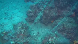 ÇANAKKALE (AA) – Tarım ve Orman Bakanlığı Balıkçılık ve Su