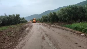 BURSA (AA) – Bursa'nın Orhangazi ilçesinde, sağanak nedeniyle dere taştı,