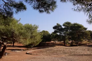 ANKARA (AA) – Çevre, Şehircilik ve İklim Değişikliği Bakanlığı, 151