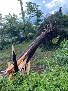 ÇORUM (AA) – Çorum'da kent merkezinde akşam saatlerinde başlayan sağanak