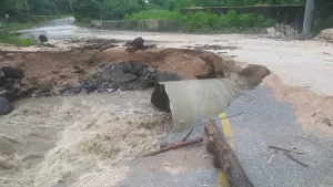 DÜZCE (AA) – Düzce'de sağanak sonrası derenin taşması nedeniyle, bazı