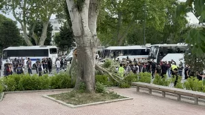 İSTANBUL (AA) – Fatih'te rüzgar nedeniyle kırılan ağaç dalının altında