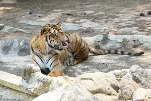 GAZİANTEP (AA) – Gaziantep Doğal Yaşam Parkı, Kurban Bayramı tatilinde