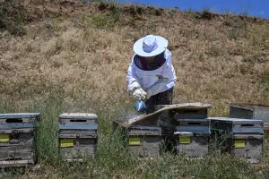 VAN (AA) – EMRE ILIKAN – Van'ın Gevaş ilçesinde devlet