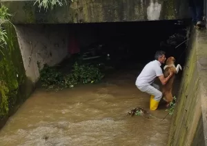 GİRESUN (AA) – Giresun'un Espiye ilçesinde, derede mahsur kalan köpeği
