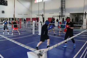 KASTAMONU (AA) – BİLAL KAHYAOĞLU – Kamp yapmak için Türkiye'ye