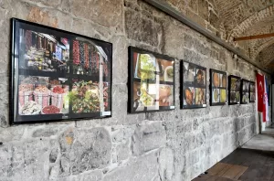 ZAGREB (AA) – Hırvatistan'ın sahil kenti Rijeka'daki Hırvatistan-Türkiye Derneği tarafından,