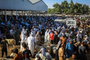 BAĞDAT (AA) – Irak’ın başkenti Bağdat’taki kurban pazarlarında hareketlilik yaşansa