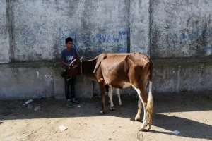 GÜLİSTAN (AA) – HAYDAR ŞAHİN – İran'ın kuzeyinde çoğunlukla Sünni