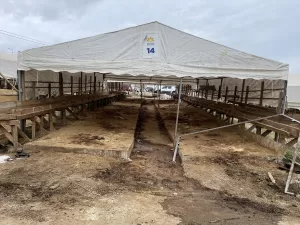 İSTANBUL (AA) – İstanbul'da, Kurban Bayramı'nın ikinci gününde kurban satış