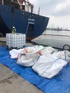 KOCAELİ (AA) – Kocaeli Büyükşehir Belediyesinin deniz uçağıyla yaptığı denetimlerde