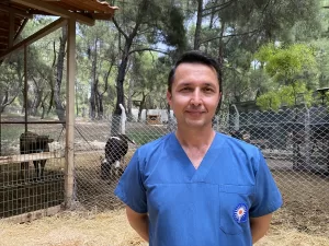 ANTALYA (AA) – ZEHRA TEKECİ – Antalya'da Kurban Bayramı öncesinde