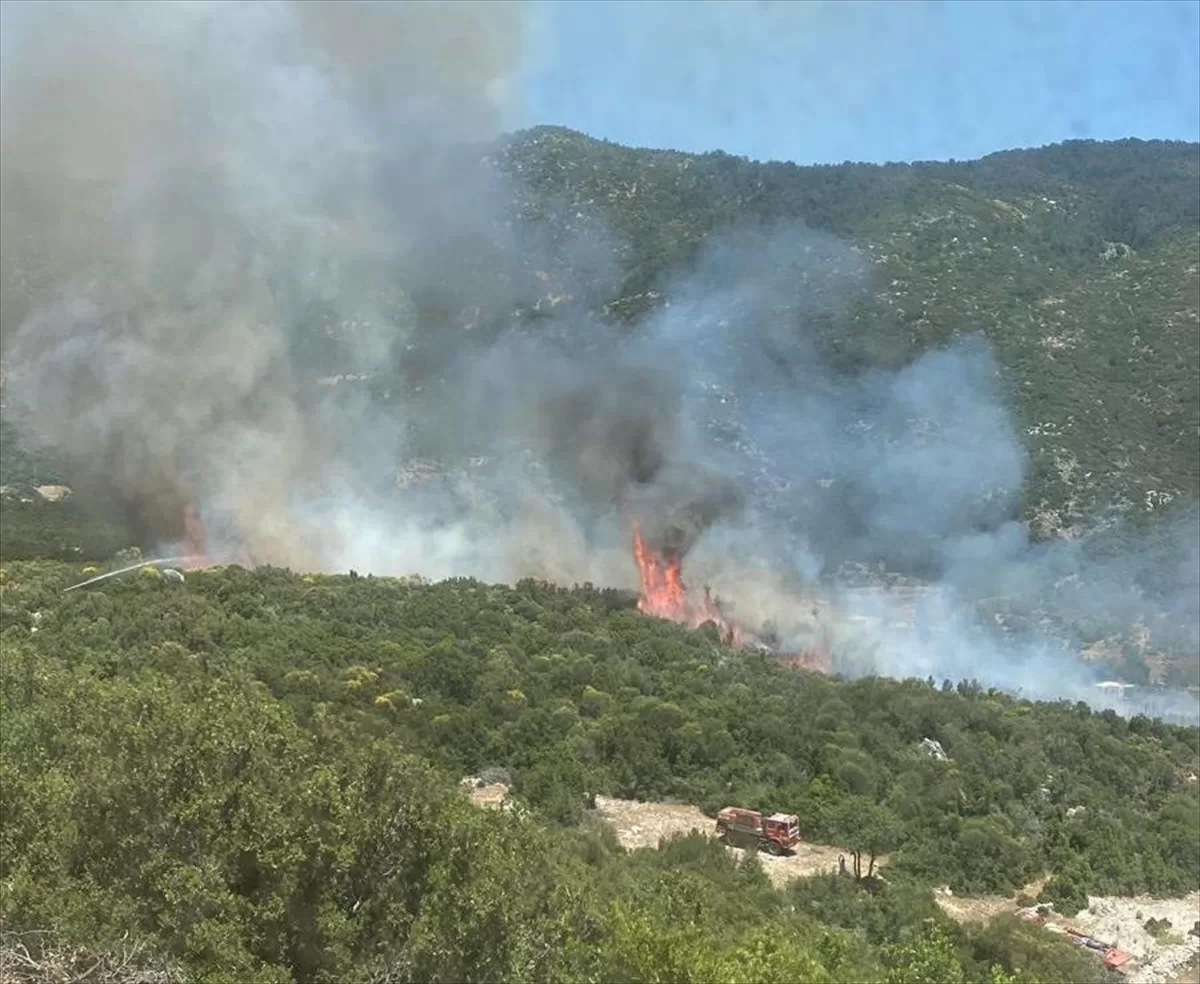 Kaş'ta çıkan orman yangınına havadan ve karadan müdahale ediliyor