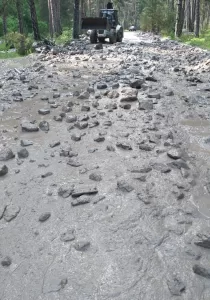 KASTAMONU (AA) – Kastamonu'nun Tosya ilçesinde yağış hayatı olumsuz etkiledi.