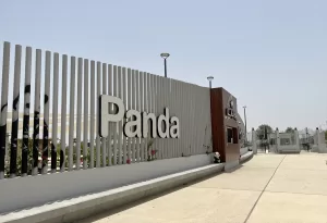 DOHA (AA) – AHMED YUSUF – Çin'in Katar'a hediyesi panda