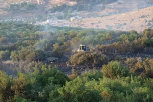 YANGININ SÖNDÜRÜLMESİ, DETAYLAR VE ORMAN İŞLETME MÜDÜRÜNÜN AÇIKLAMASI EKLENDİ