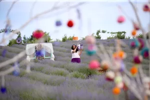 KIRKLARELİ (AA) – Kırklareli'nde lavanta tarlaları, hasat öncesi turizm amaçlı