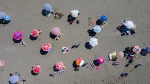 SAKARYA (AA) – Sakarya'nın Karadeniz'e kıyısı olan ilçelerinden Kocaali, Kurban