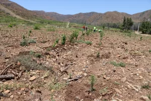 MUĞLA (AA) – Muğla'nın Marmaris ilçesinde, 21 Haziran 2022'de başlayan