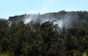 MERSİN (AA) – Mersin'in Bozyazı ilçesinde çıkan orman yangını havadan